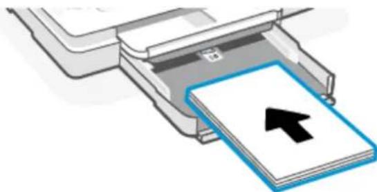 HP ENVY Photo 7934 - Pour charger du papier ordinaire - 4
