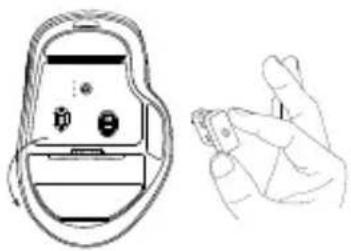 Essentiel B ME_DW - Connecting the mouse via the USB-A receiver - 1