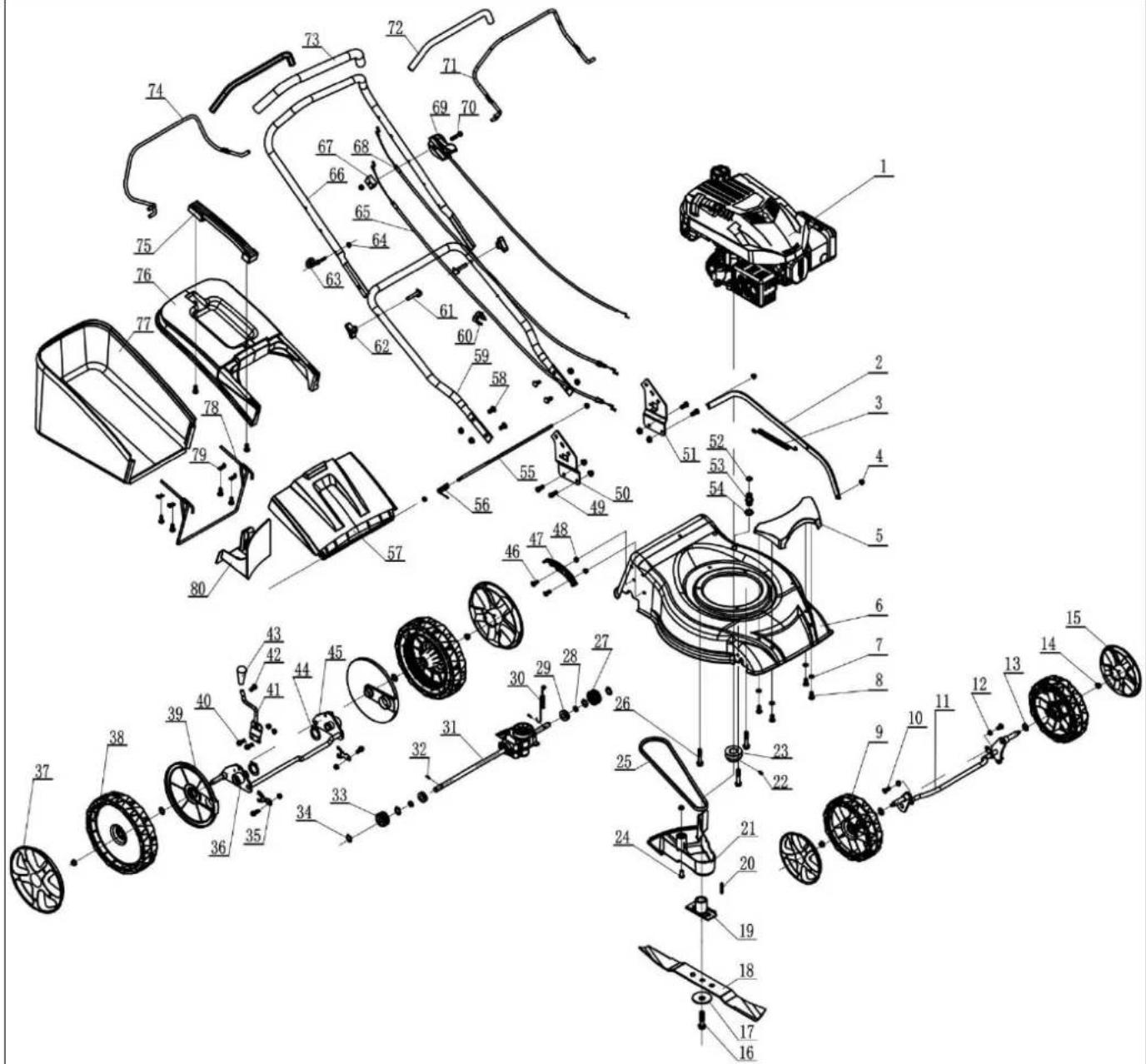 DEDRA DED8720-43C - 11