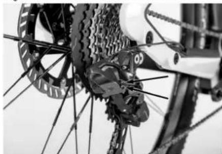 PORSCHE eBike Sport 2025 - INFORMATION - 1