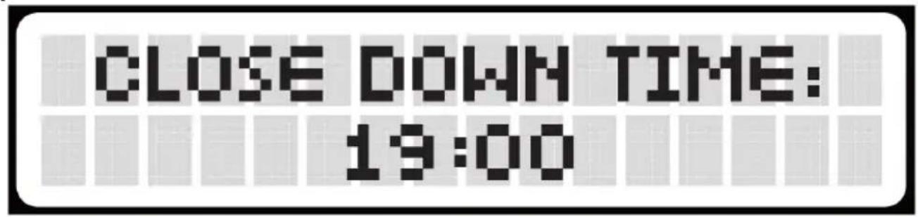 Wiesenfield WIE-CCD-100 - 06:00 - 1