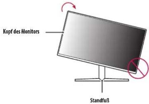 LG UltraGear 25GR75FG - WARNING - 1