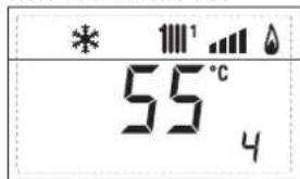 55°C 4