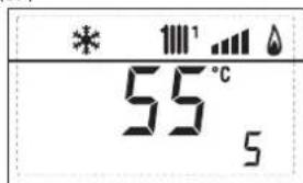 55°C 5