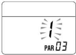 PAR 03
