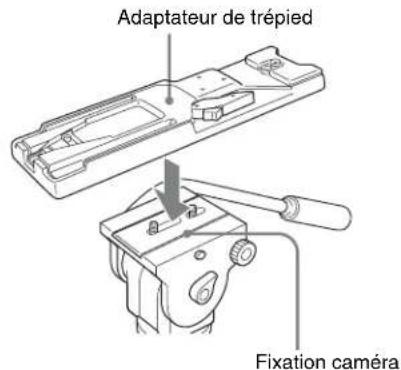 Adaptateur de trépied Fixation caméra