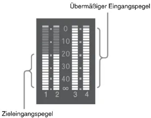 SONY CBK-55BK - Zieltonpegel für manuelle Tonpegeleinstellung - 1