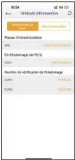 ANCEL AD310 Pro - Informations sur le véhicule - 2