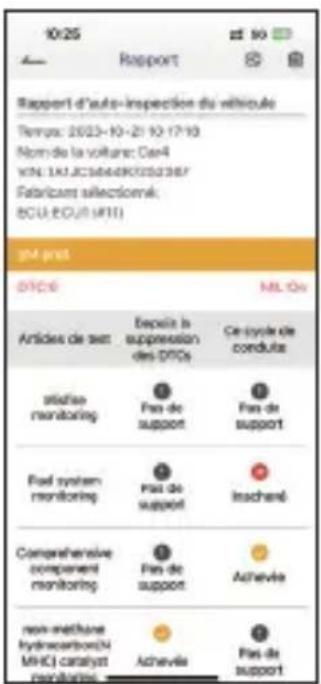 ANCEL AD310 Pro - Rapport - 3