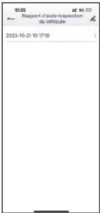 ANCEL AD310 Pro - Rapport - 2