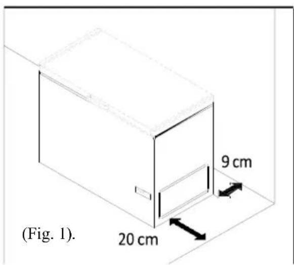 (Fig. 1). 20 cm 9 cm