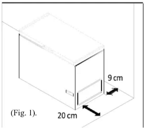 (Fig. 1). 20 cm 9 cm