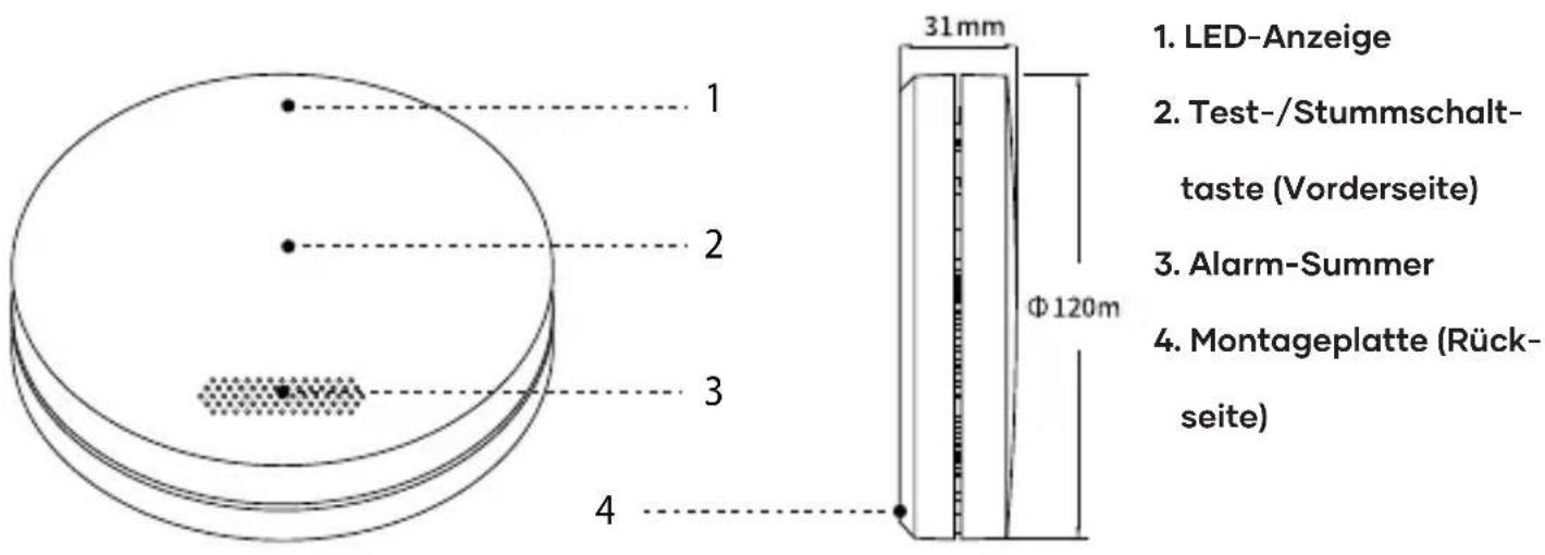 SAVS SM11W - Produktübersicht - 1