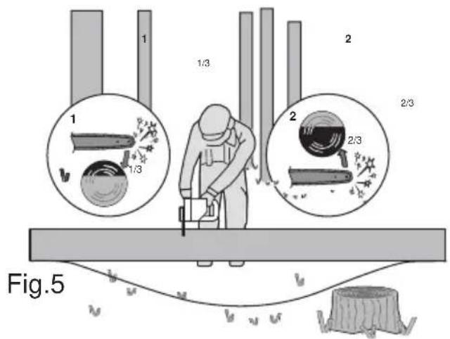 WORX WG311 - 5FTronçonnage d'une bille - 3