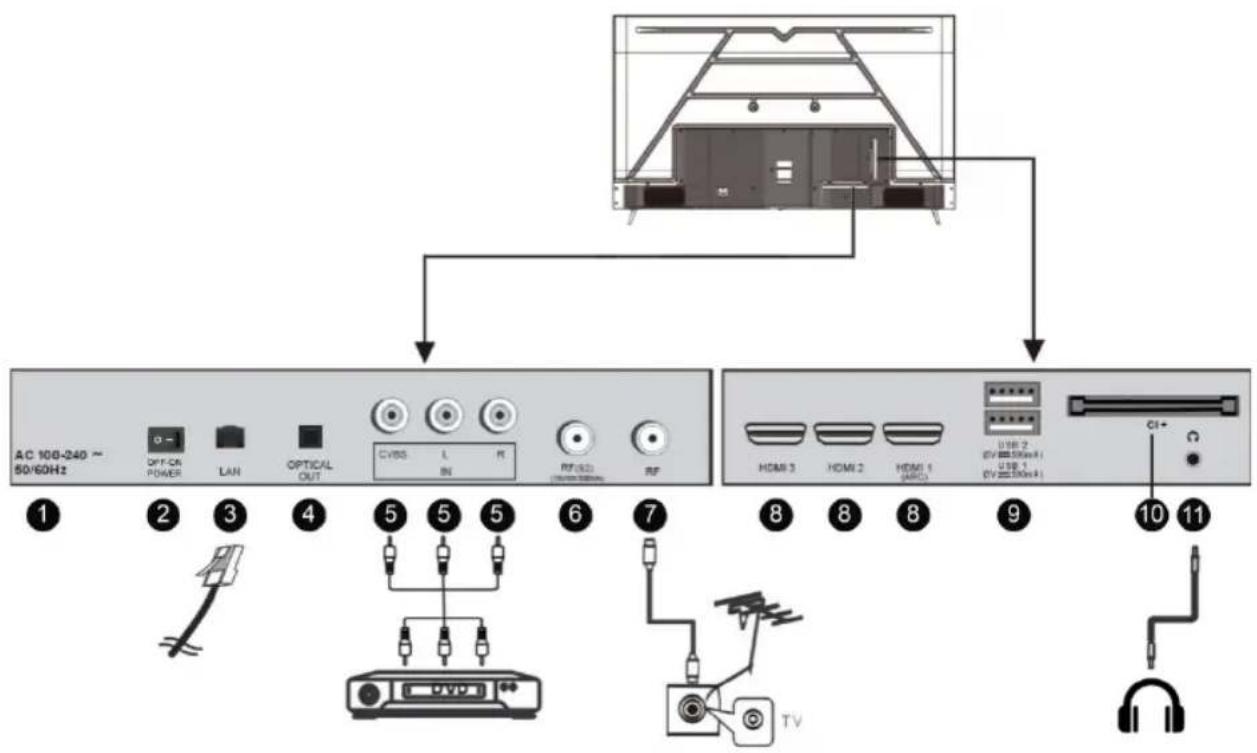 EDENWOOD ED75EA04UHD-RE - Câbles de connexion - 1