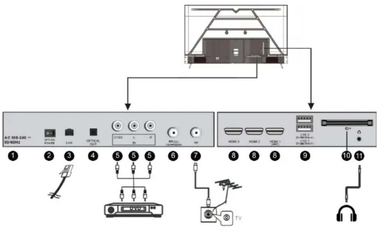 EDENWOOD ED75EA04UHD-RE - Cables de conexión - 1