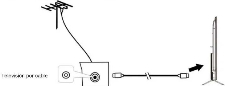 EDENWOOD ED75EA04UHD-RE - Conexión de la antena externa a la unidad - 1