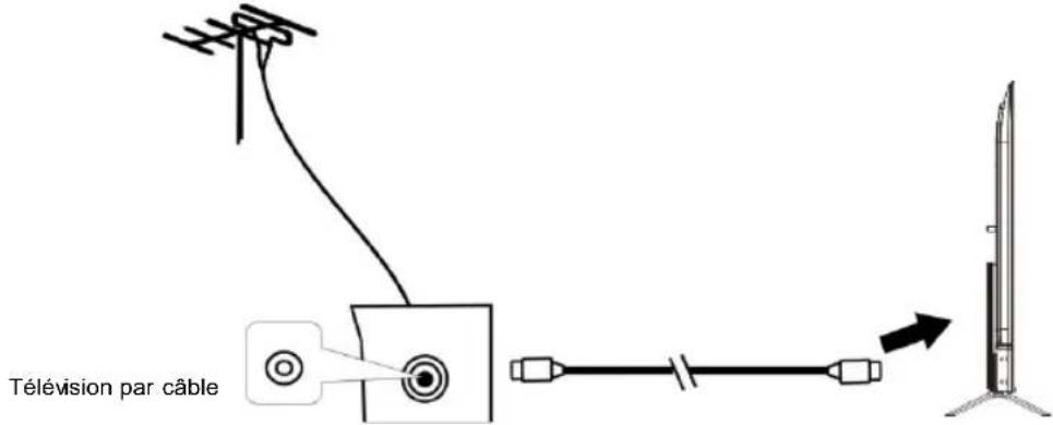EDENWOOD ED75EA04UHD-RE - Connexion de l'antenne externe à l'unité - 1