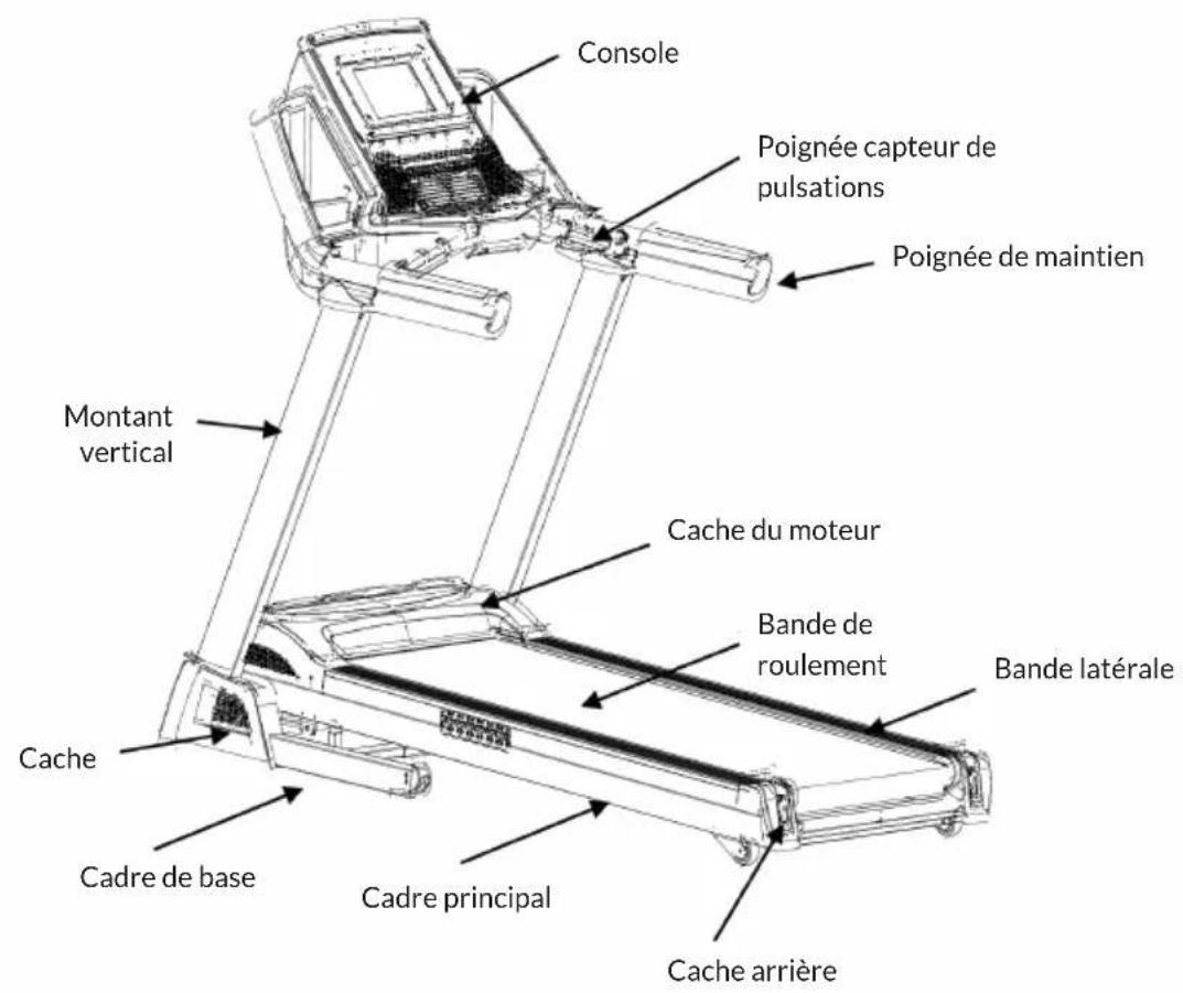 Capital Sports Infinity Pro 4.0 - APERÇU DE L'APPAREIL - 1