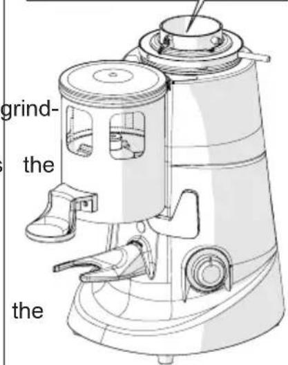 Fiorenzato F71 DK - On all the coffee grinder-dosers and coffee grinders - 2