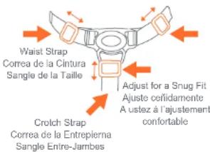 Baby Trend Sit N' Stand 5-in-1 Shopper Plus - SAFETY SEGURIDAD SÉCURITÉ - 2