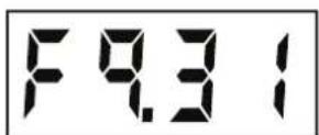 Cummins Onan P4500iDF - DATA DISPLAY - 2