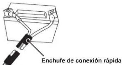 Cummins Onan P4500iDF - CONECTAR LA BATERIA - 3