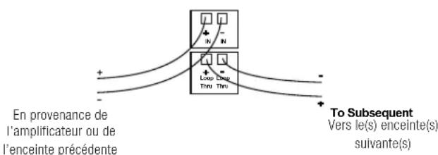 JBL Control 414C/T Micro - Schémas de connexion pour les enceintes suivantes - 1