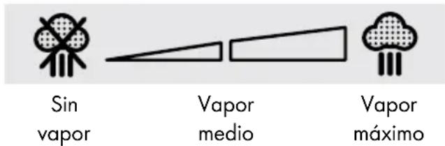 SILVERCREST SDB 1600 B4 - Planchado al vapor - 1