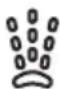 SILVERCREST SDBK 2400 E1 - Funzione spruzzo - 1
