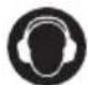 PARKSIDE PELSB 2600 A1 - Piktogramy a symbol - 4