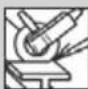 PARKSIDE PWS 125 I9 - Déclaration UE de conformité.... Page 75 - 20