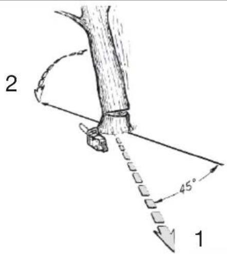 PARKSIDE PKS 1600 C2 - DE - 10