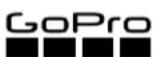 GOPRO Boom + Adhesive Mounts - 1