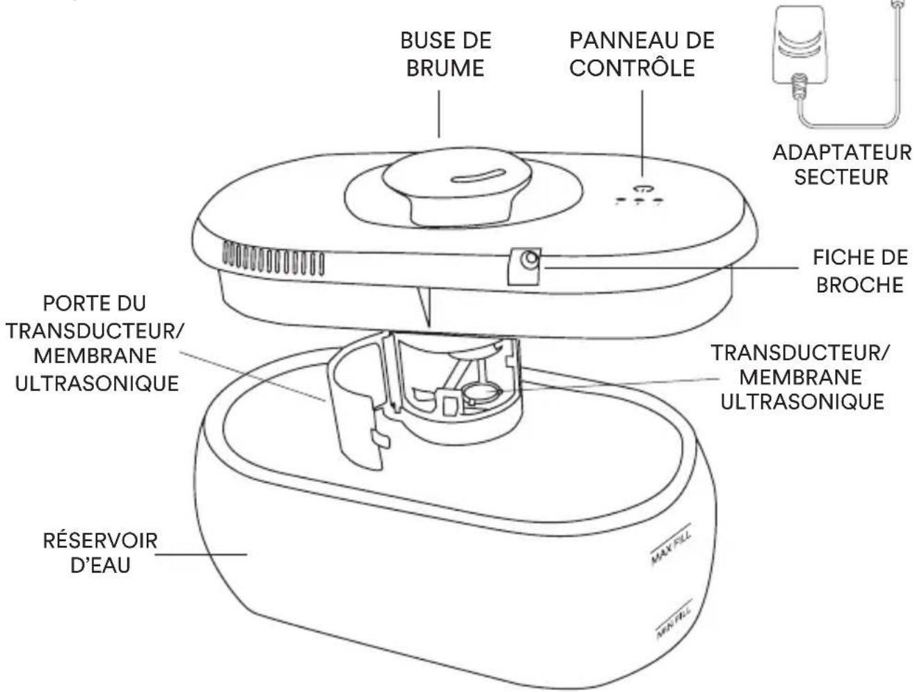 HOMEDICS UHE-CMTF14 - FAIRE CONNAISSANCE AVEC VOTRE HUMIDIFICATEUR ULTRASONIQUE - 3