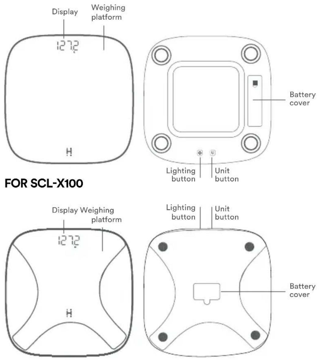 HOMEDICS SCL-B150 - GETTING TO KNOW YOUR GLO DIGITAL SCALE WITH AMBIENT ILLUMINATION - 1