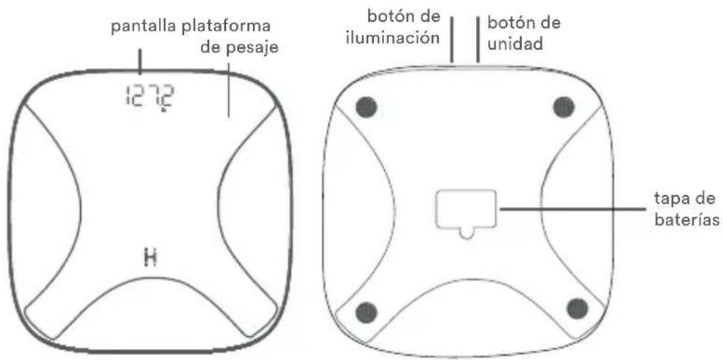 HOMEDICS SCL-B150 - CONOCIENDO TU BALANZA DIGITAL GLO CON ILUMINACIÓN AMBIENTAL - 1