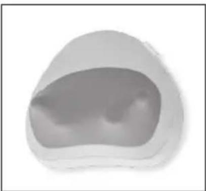HOMEDICS NMS-705HJ - INSTRUCTIONS FOR USE - 1