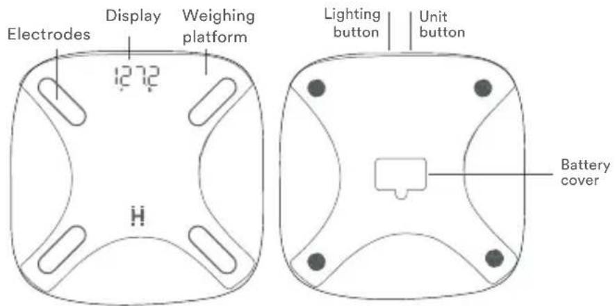 HOMEDICS SCL-BBC250 - GET TO KNOW YOUR GLO BODY COMPOSITION SCALE WITH AMBIENT ILLUMINATION - 2