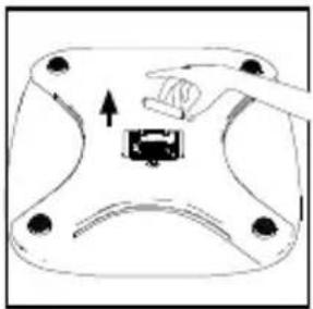 HOMEDICS SCL-BBC250 - FOR SCL-XBC200 - 2
