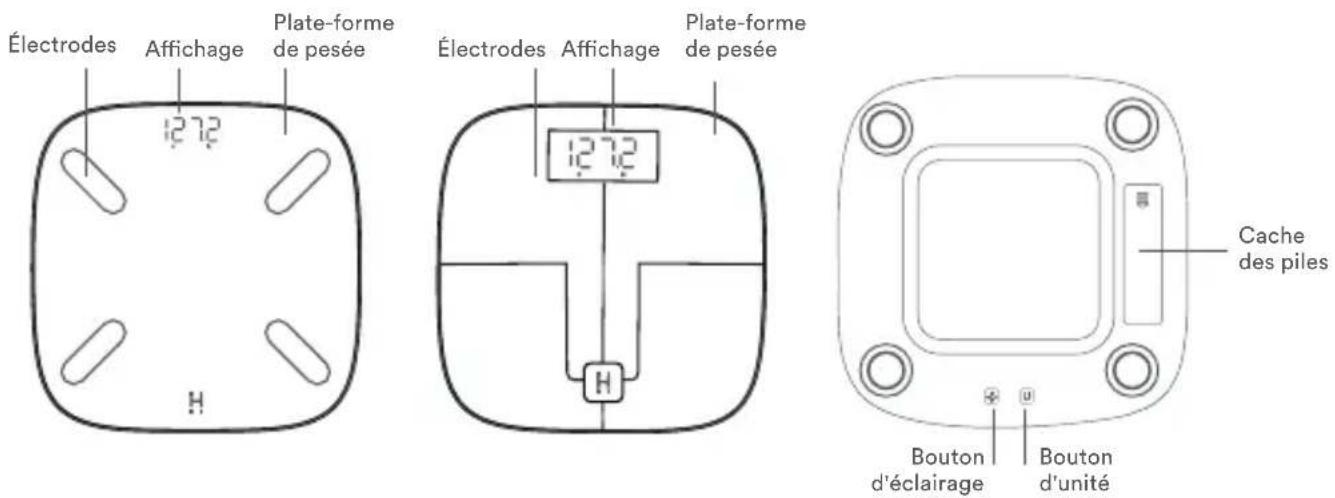 HOMEDICS SCL-BBC350 - DÉCOUVREZ VOTRE BALANCE DE COMPOSITION CORPORELLE GLO AVEC ÉCLAIRAGE AMBIANT SCL-BBC200, SCL-BBC250 ET SCL-BBC350 - 1