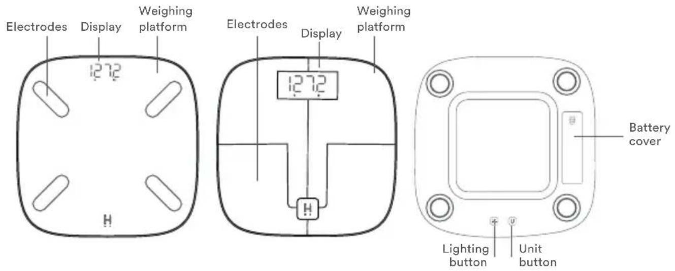 HOMEDICS SCL-BBC350 - GET TO KNOW YOUR GLO BODY COMPOSITION SCALE WITH AMBIENT ILLUMINATION - 1