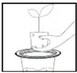 HOMEDICS UHE-PL125 - ADD A PLANT - 4
