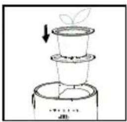 HOMEDICS UHE-PL125 - AJOUT D'UNE PLANTE - 7