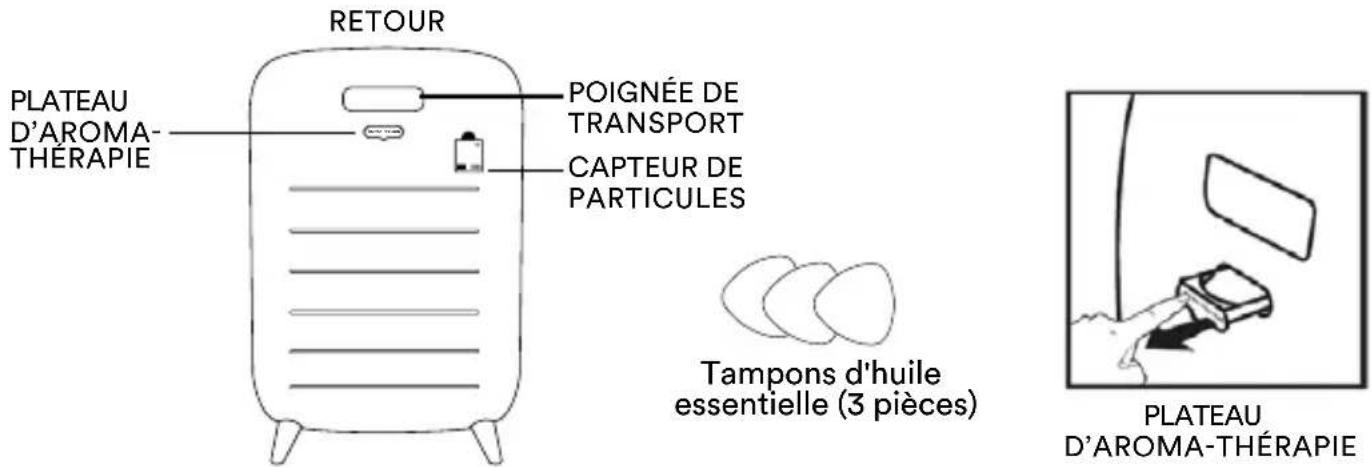 RETOUR PLATEAU D'AROMA- THÉRAPIE POIGNÉE DE TRANSPORT CAPTEUR DE PARTICULES Tampons d'huile essentielle (3 pièces) PLATEAU D'AROMA-THÉRAPIE