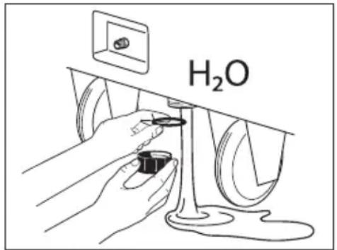 H₂O