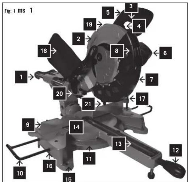 Fig. 1 ms 1 1 2 3 4 5 6 7 8 9 10 11 12 13 14 15 16 17 18 19 20 21