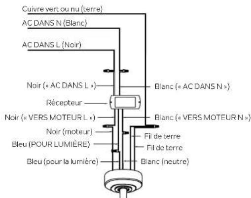 Kichler Guardian 330057 - RACCORDEMENTS ÉLECTRIQUES - 2