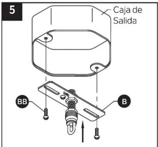 Kichler Lecelles 82390 - Principiante - 6