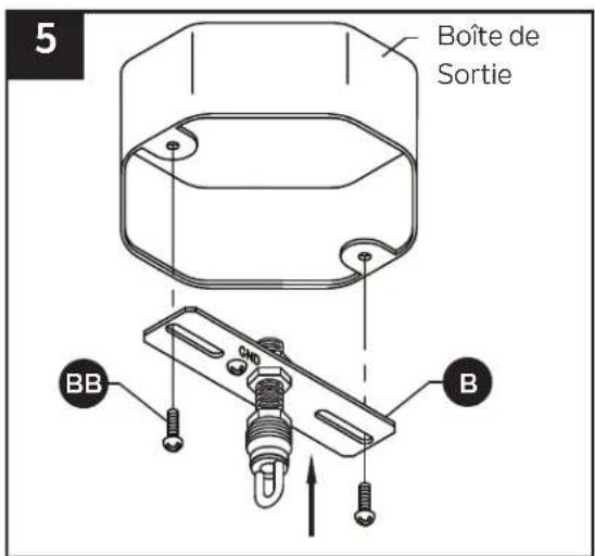 5 Boîte de Sortie BB B